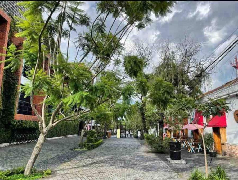 Makachi Hotel Guatemala City Ngoại thất bức ảnh
